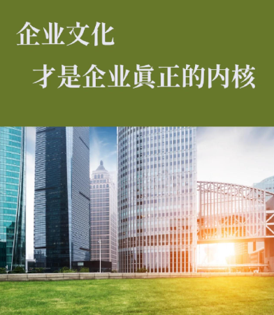 东莞市鹉凰信息科技网站定制改版与软件运维维护服务对比分析